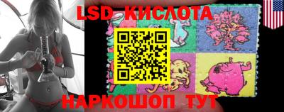 амф Дубна