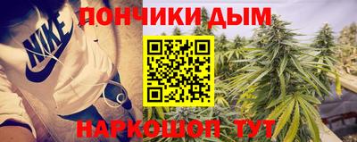 амф Дубна
