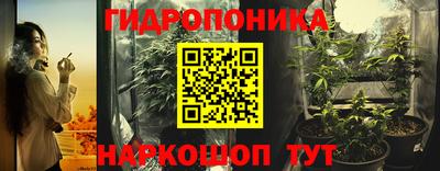 амф Дубна