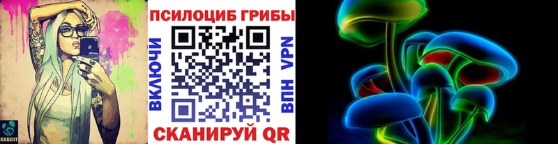 Псилоцибиновые грибы Psilocybine cubensis Реутов