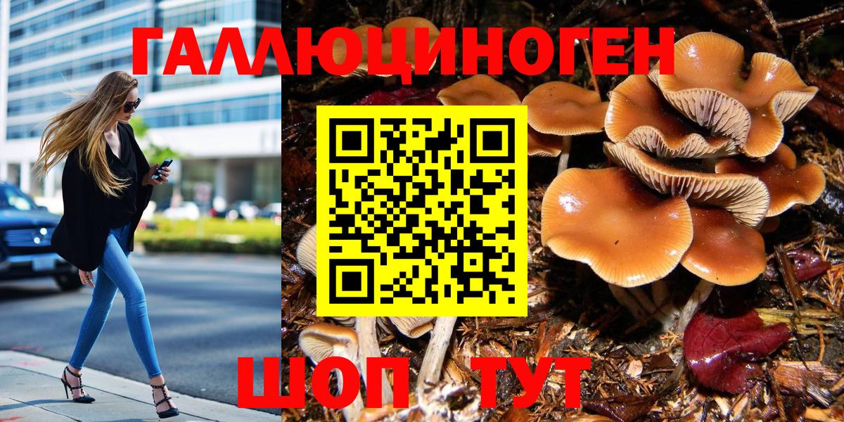 Галлюциногенные грибы Psilocybe  Реутов  Псилоцибиновые грибы MAGIC MUSHROOMS 
