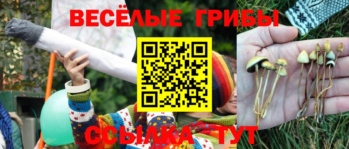 Галлюциногенные грибы прущие грибы Реутов