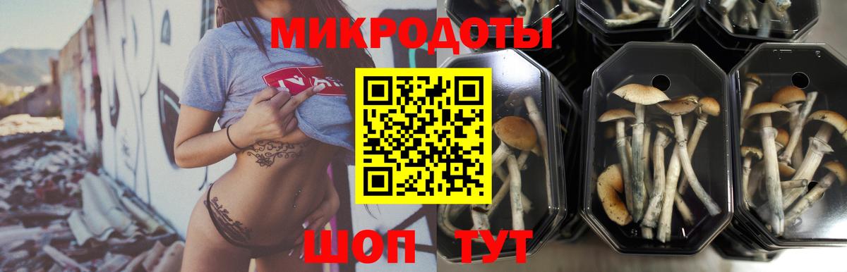 Псилоцибиновые грибы GOLDEN TEACHER  Вход с VPN  Галлюциногенные грибы прущие грибы  Реутов 